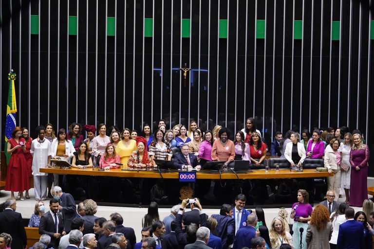 Mulheres, Cotas Eleitorais de Gênero, Violência Política de Gênero, Câmara dos Deputados